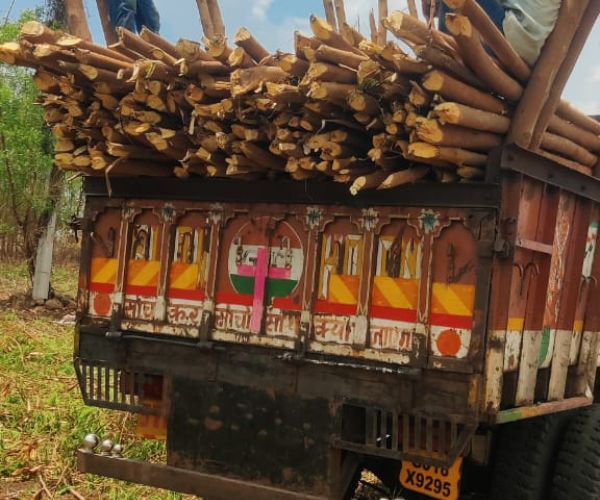 Wood Supply